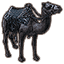 Black Camel of Ill Omen icon